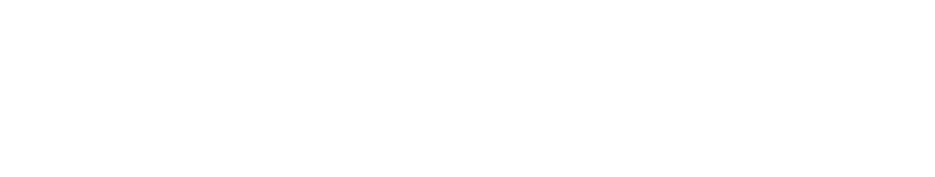 dainsight-life-cycle-logo